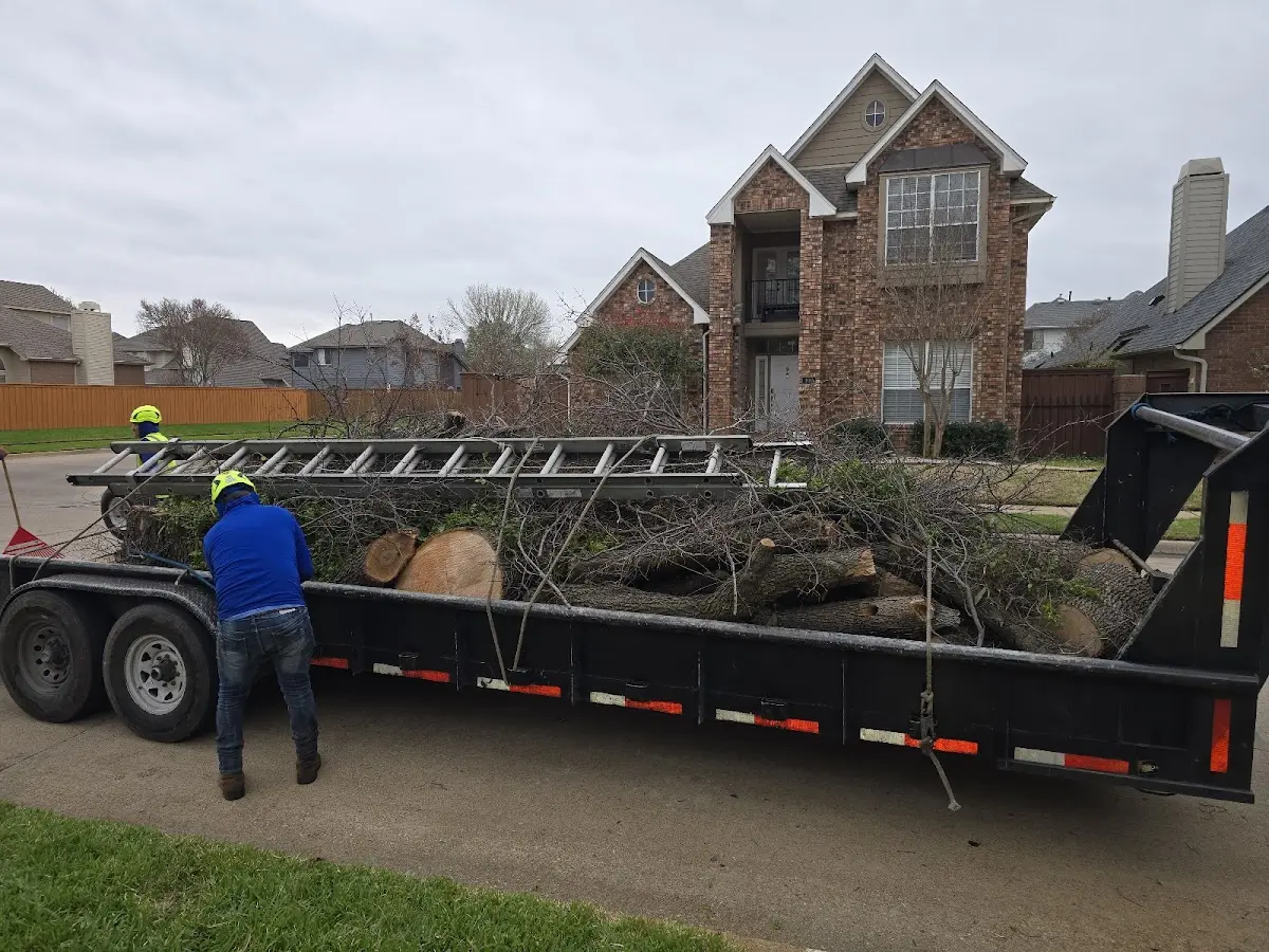Expert Lot Clearing with proper safety equipment in Washta